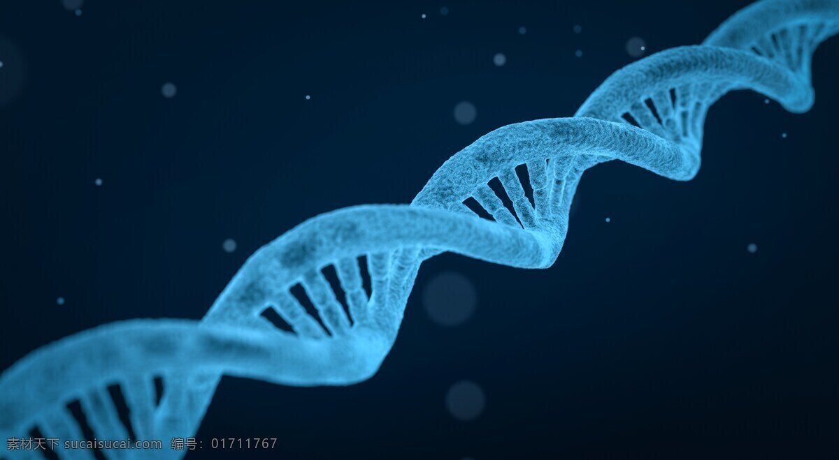 dna螺旋 dna 螺旋 曲线 科学 医药 生物学 医疗 分子 技术 研究 化学 结构 生物技术 基因 遗传 细胞 染色体 演化 3d 钢绞线 微生物学 人类 生物 模型 镜 给予 蓝色 摄影图片 现代科技 科学研究
