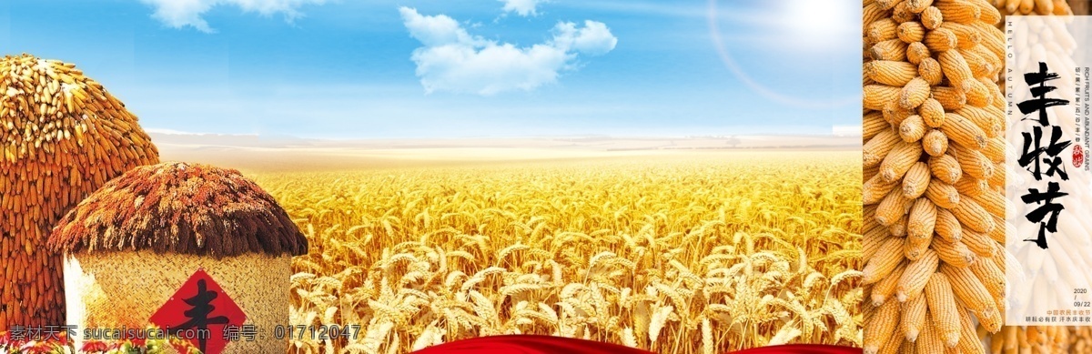 丰收图图片 丰收图 蓝天 丰收素材 玉米 小麦 分层