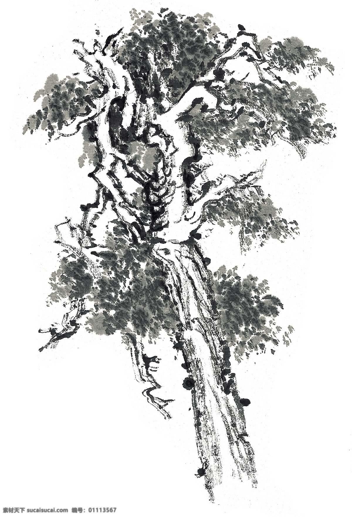 枯 藤 老树 绘画 晕染 美学 文化艺术