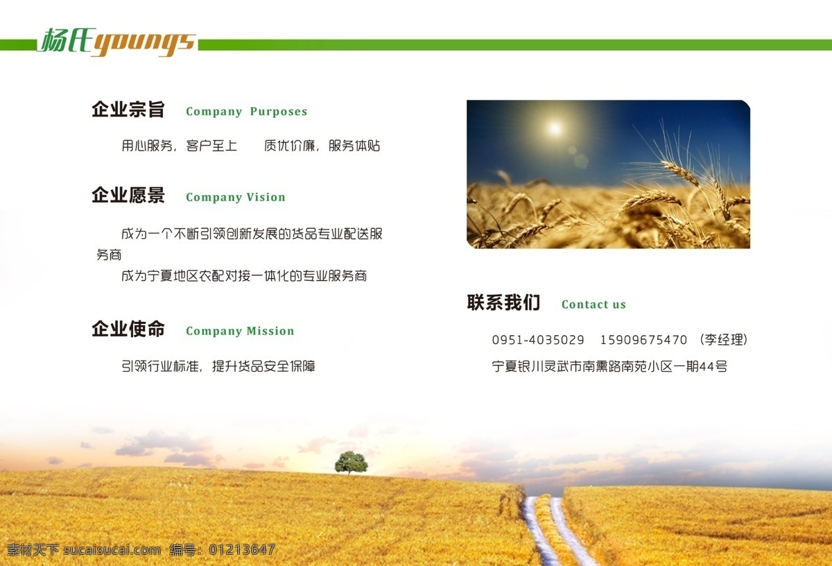 分层 传单 瓜果 画册 介绍 宁夏 农副产品 蔬菜 物流公司画册 物流 灵武 农副物流 农副 源文件 其他画册封面