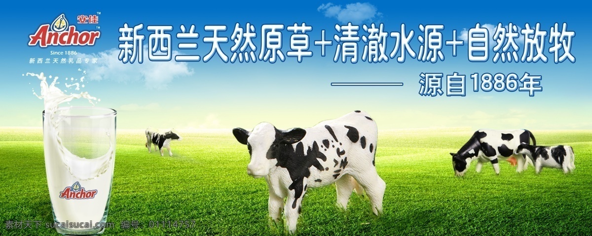 安佳牛奶 牛奶 草原 绿色