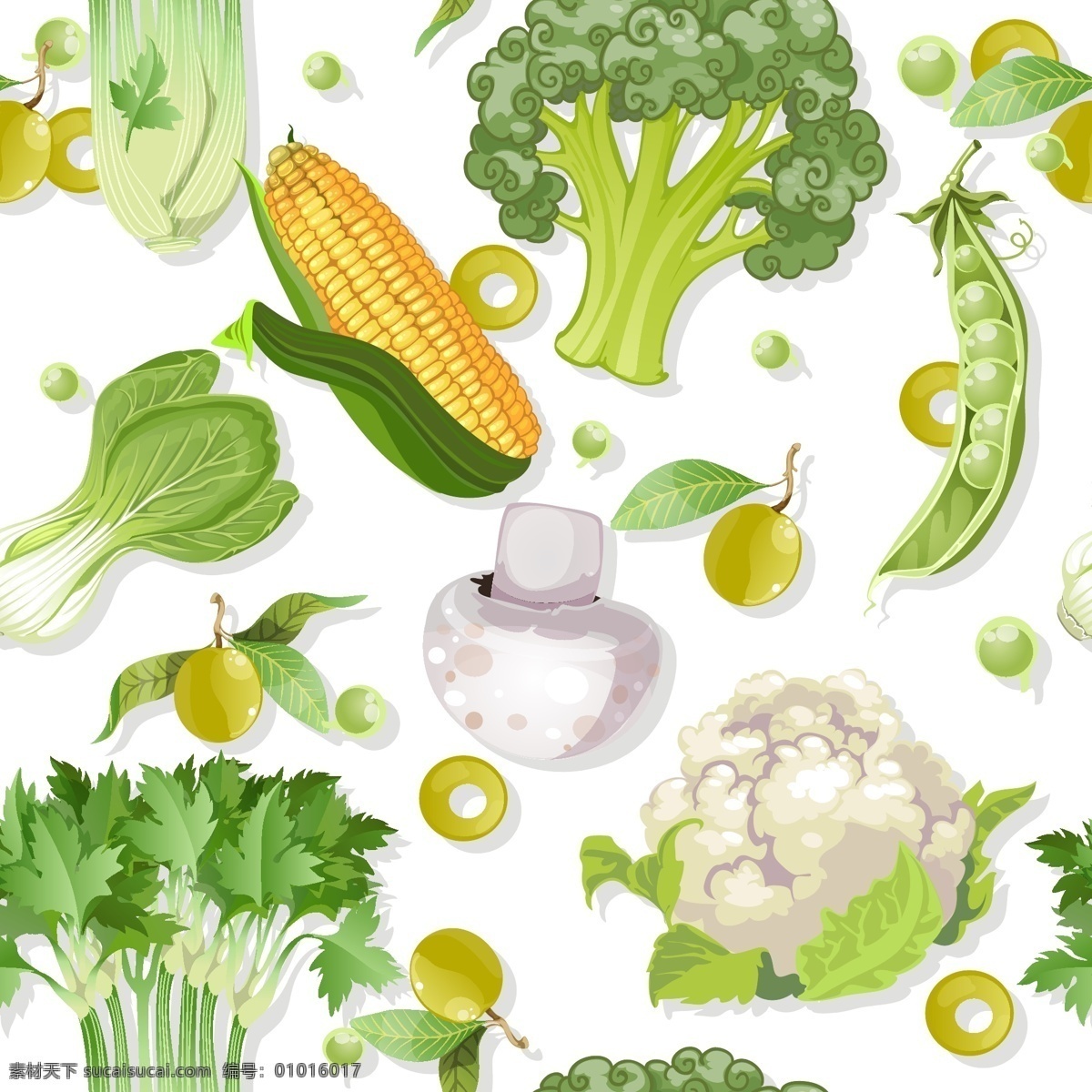 精美 蔬菜 矢量 白菜 背景 菜花 茄子 芹菜 矢量素材 豌豆 香菇 油菜 玉米 矢量图 日常生活