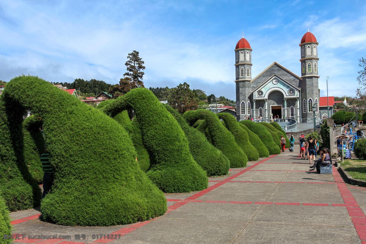 美丽 园艺 植物 风景 哥斯达黎加 园艺风景 美丽风景 风景摄影 美丽景色 自然风景 自然景观 黑色