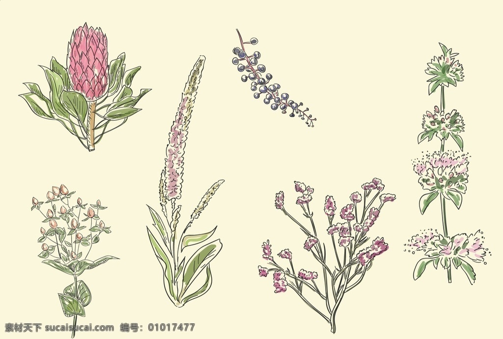 花花草草 花边 无缝图案背景 花卉 植物 紫丁香 丁香花 无缝花纹 时尚底纹背景 印花底纹 花纹背景 粉红色背景 圆形花纹 花纹 经典花纹 壁纸 背景 背景墙 移门图案 欧式花纹 复古花纹 现代花纹 时尚花纹 底纹 纹路 图案 经典图案 墙纸 瓷砖图案 抽象花纹 抽象 布料图案 印刷 可爱 碎花 碎花图案 卡通设计