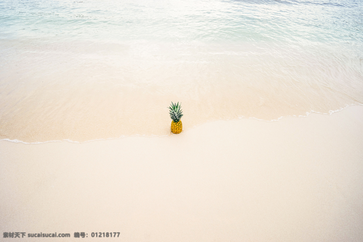 海边沙滩菠萝 海边 海浪 沙滩 菠萝 水果 休闲 娱乐 自然景观 自然风景