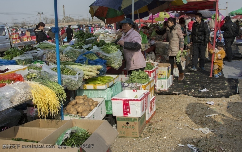 菜市场 菜市 蔬菜 菜篮子 赶集 菜农 买卖 贸易 土特产 集市 商贩 蔬菜摊 早市 市集 农贸市场 生活百科 生物世界