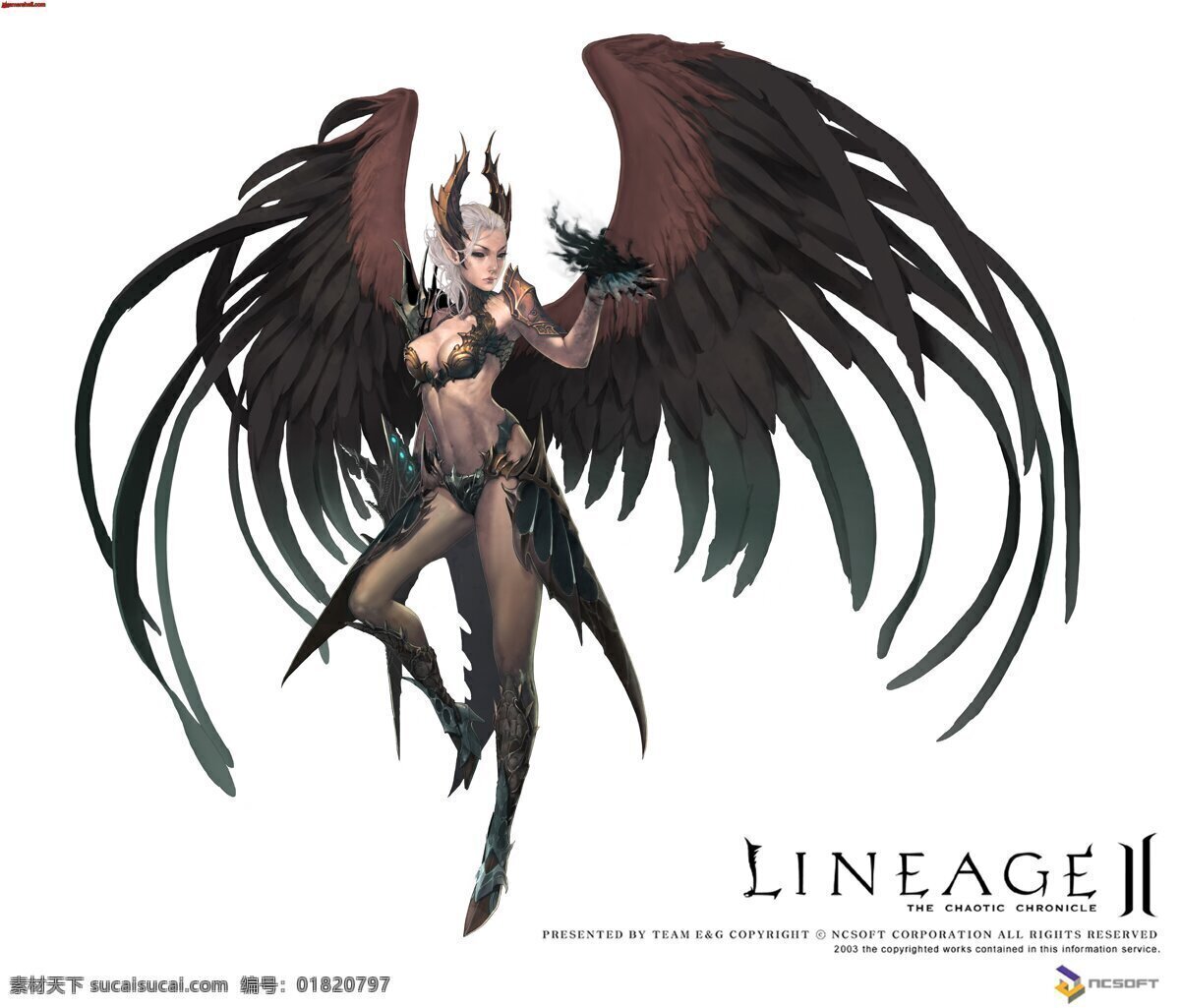 天堂2 天堂 女 翅膀 黑暗 肌肉 游戏 原画 概念 黑丝 美女 性感 动漫人物 动漫动画