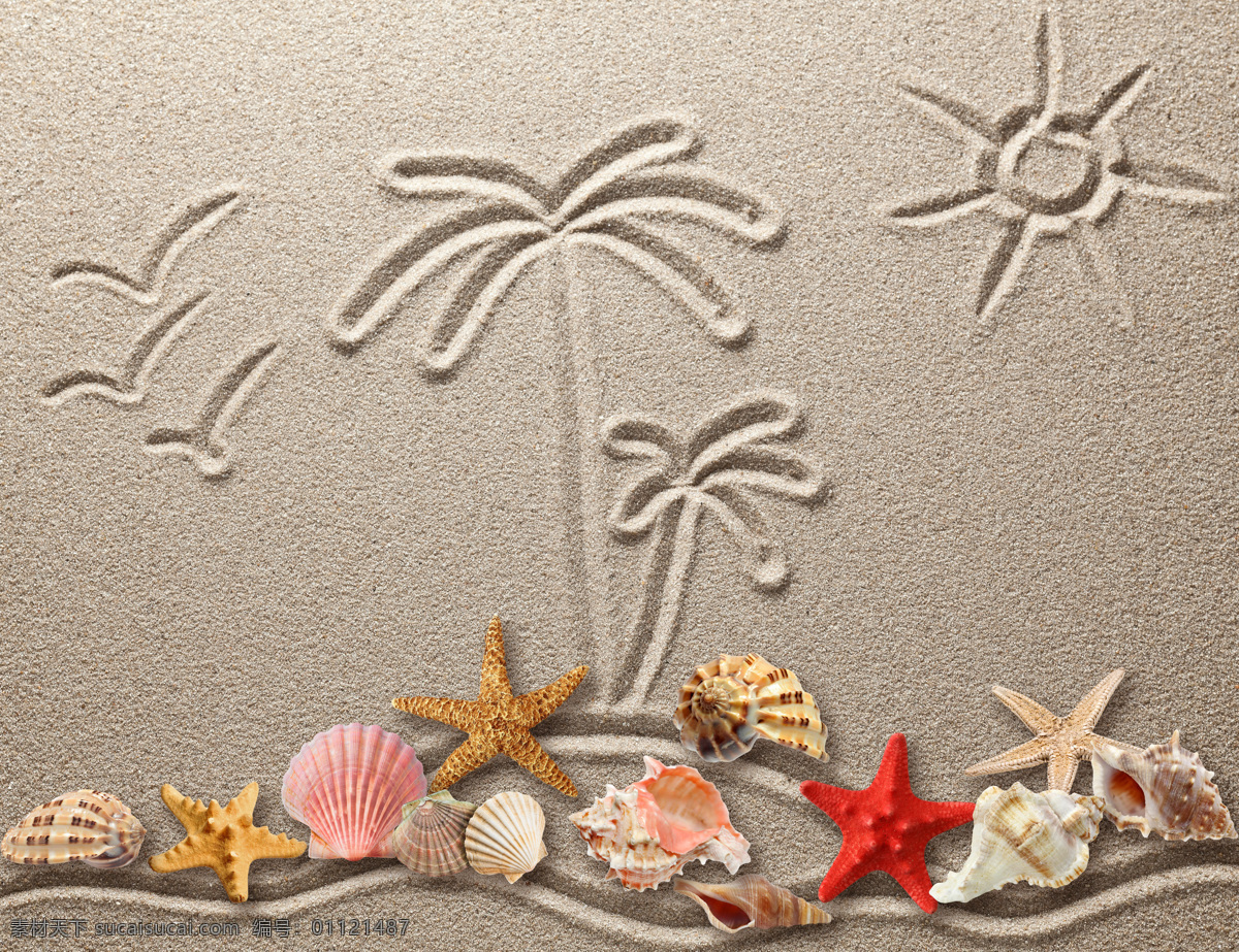 海洋主题摄影 椰子树 沙滩 热带 贝壳 海星 海螺 大海 沙画 海鸥 太阳 海滩 海洋生物 生物世界