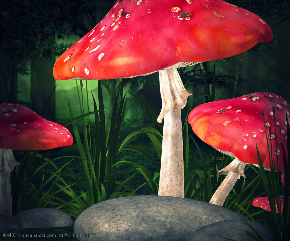 蘑菇 预制 背景 背景图片