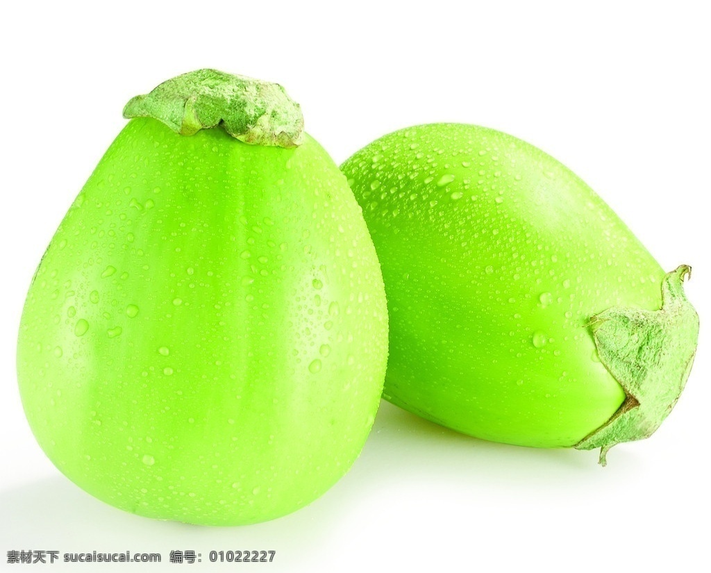 青茄子 水果 生物世界