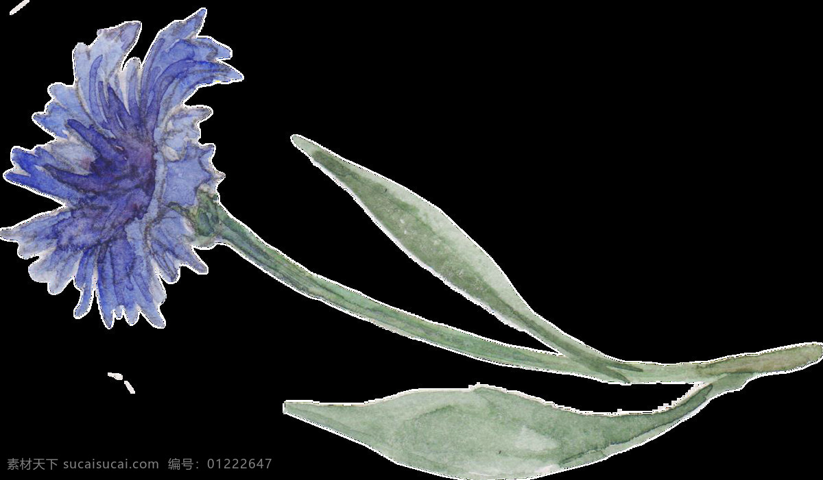 紫 纹 花束 卡通 透明 花枝 紫色 透明素材 免扣素材 装饰图案