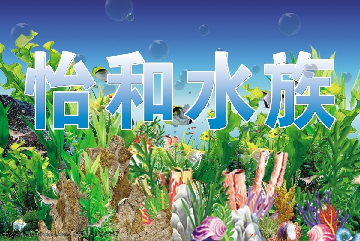 怡和水族广告 水族 广告 水 水草 鱼 鹅卵石 海洋 水泡 广告设计模板 源文件