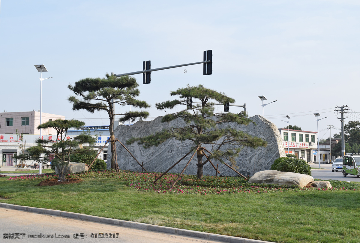 景观油松 造型油松 景石 景观 油松 建筑园林 园林建筑