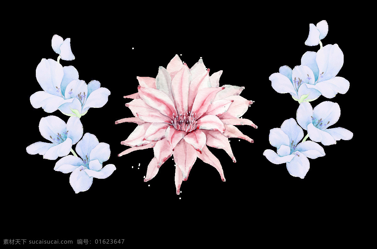 淡 蓝色 花朵 图案 淡蓝色 粉色 叶子 装饰 植物 手绘