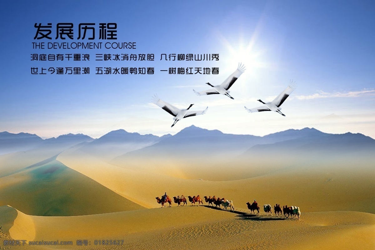 发展 历程 发展历程 鹤 骆驼 企业文化 沙漠 山 天空 psd源文件