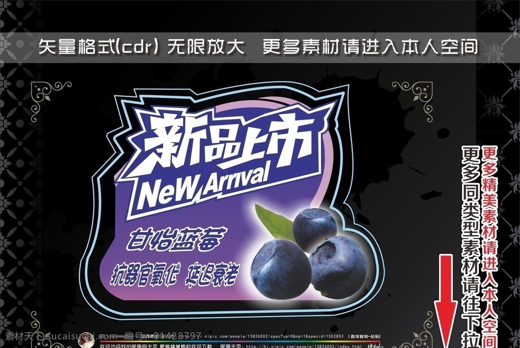 果蔬标签 新品上市 蓝莓 苦瓜 水果蔬菜 贴纸 新品 上市 果蔬 标签 蔬菜 水果 标志图标 其他图标