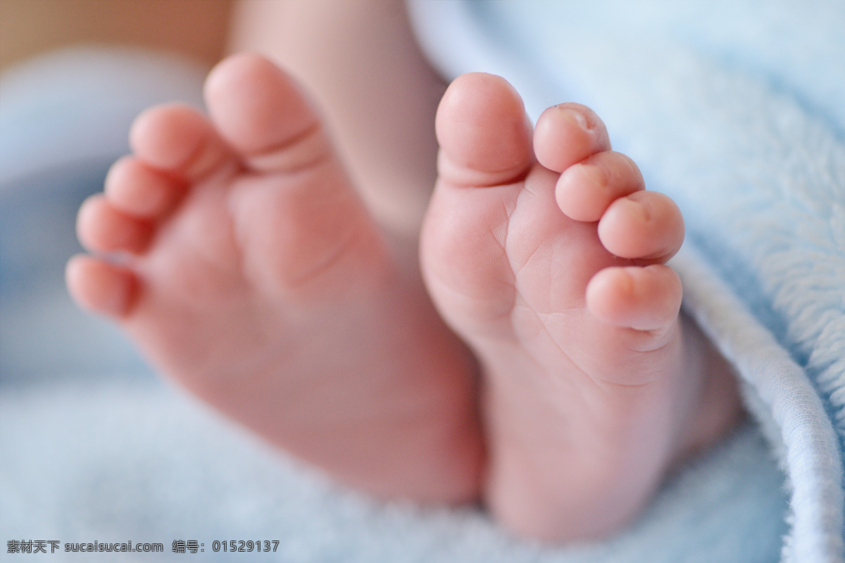 婴儿脚 小脚 可爱 小脚丫 儿童 幼儿 人物图库 儿童幼儿