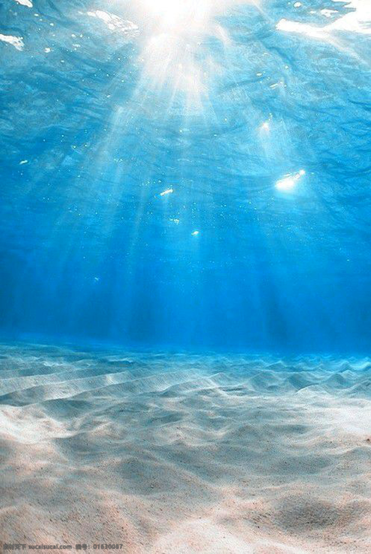 海底阳光 海底 阳光 通透 水底世界 1920