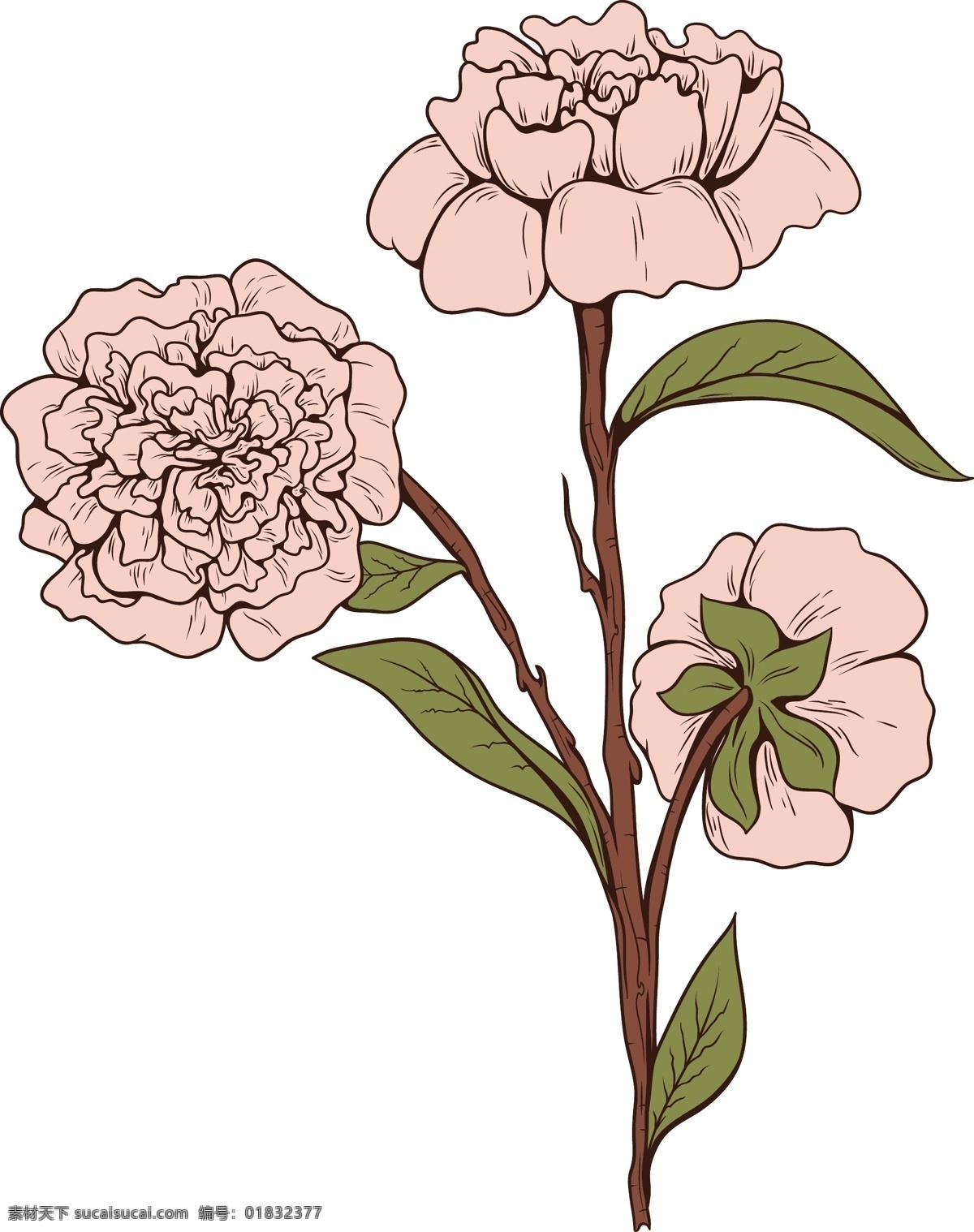 日本 花卉 矢量 日本花卉矢量 矢量图 其他矢量图