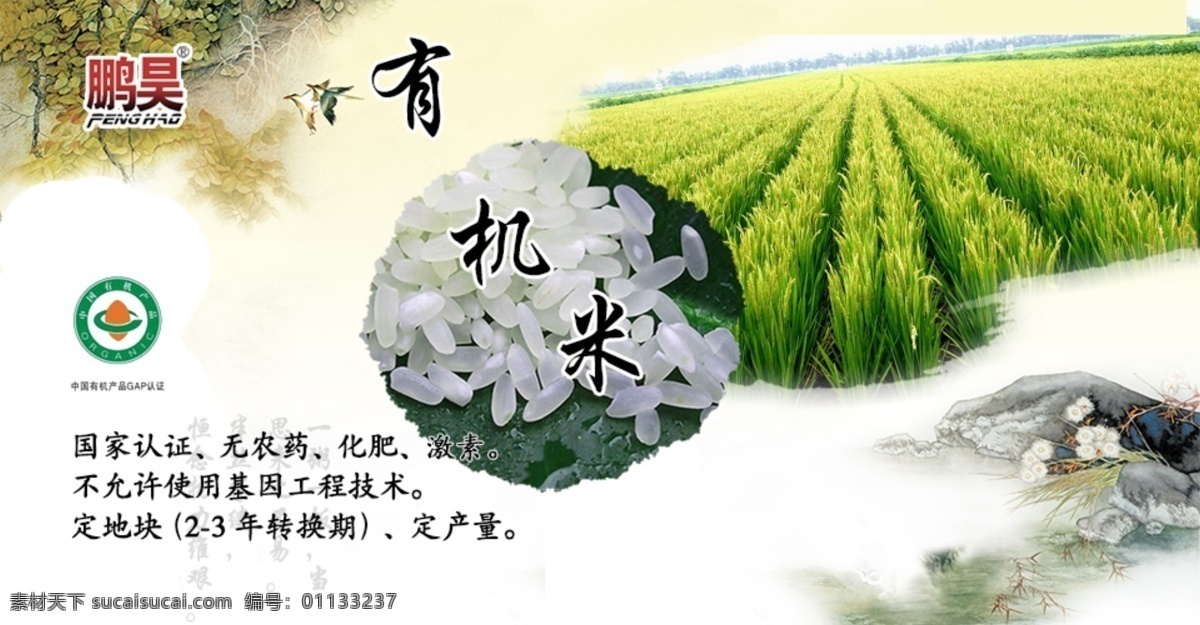 有机米 大米 有机大米 绿色 水稻 分层