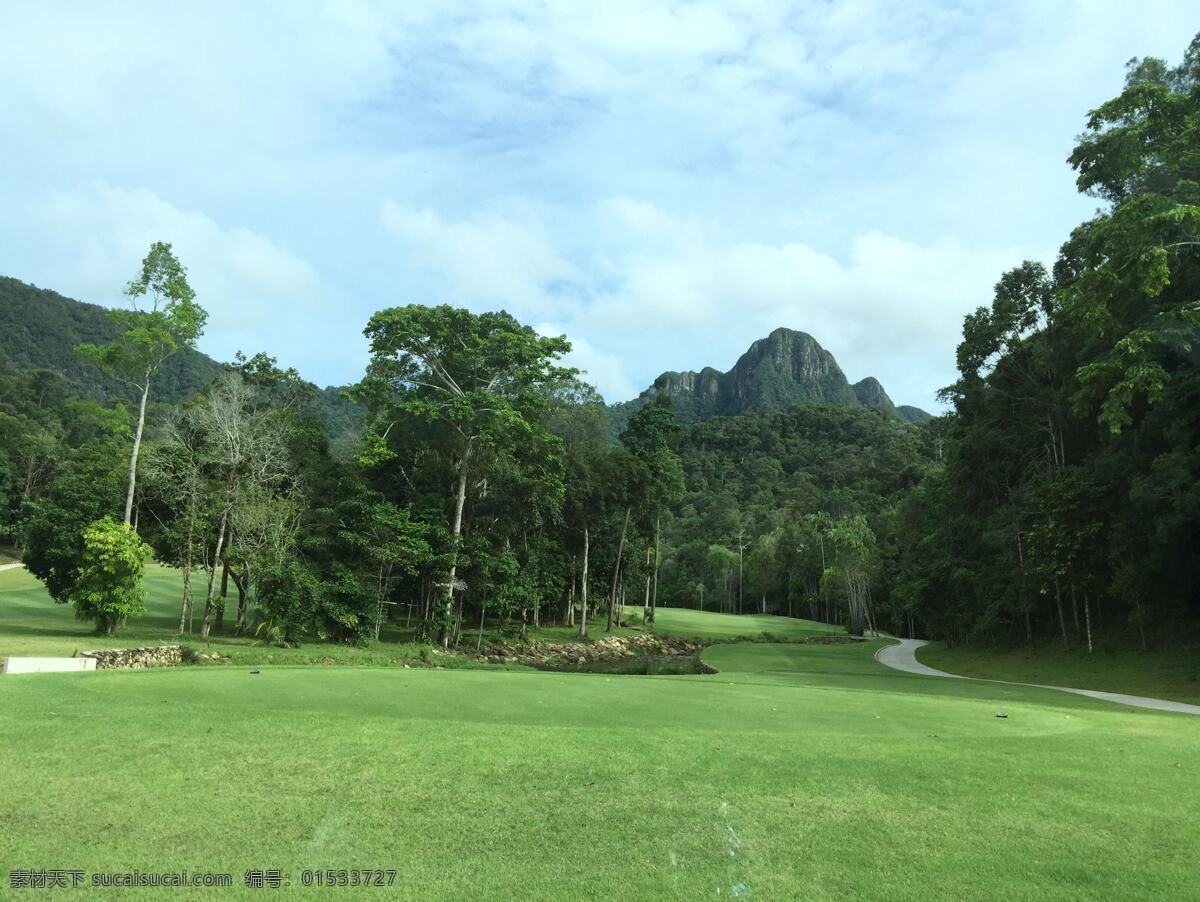 马来西亚 原始森林 森林 草地 原始 自然 自然景观 自然风景