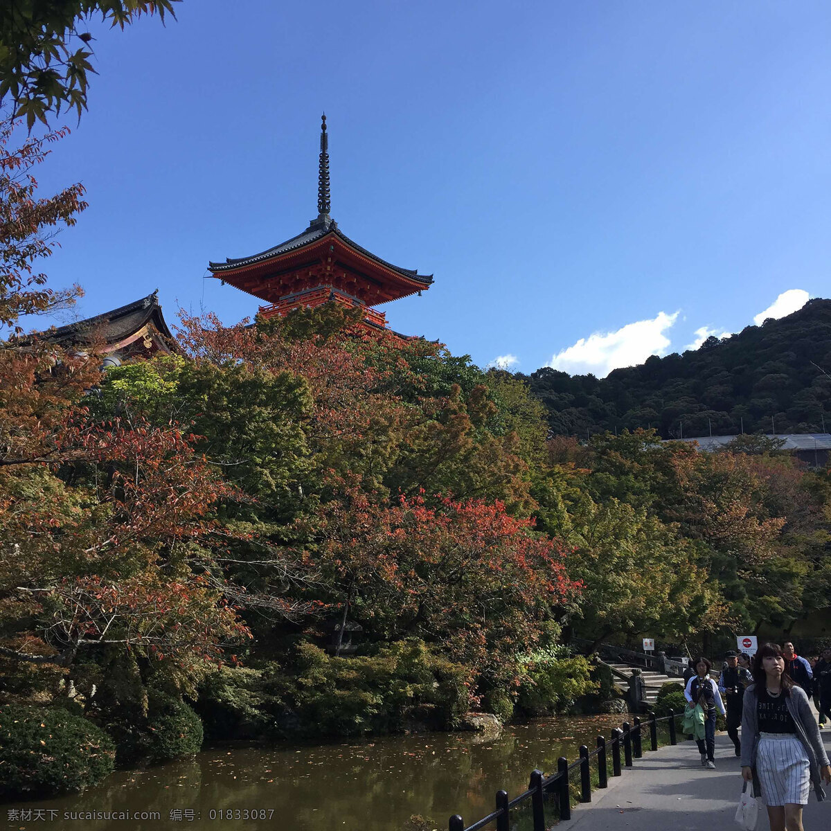 高台寺 日本日本日本