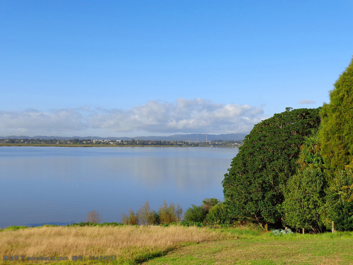 新西兰 海滨 风景 蓝天 白云 大海 海水绿树 绿地 草地 倒影 风光 自然风景 自然景观