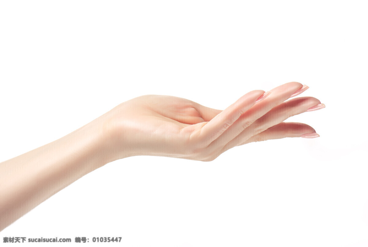 芊芊玉手 纤纤玉手 肌肤 水嫩 白字 嫩白 手指 干净 唯美 手势 人物图库 女性女人