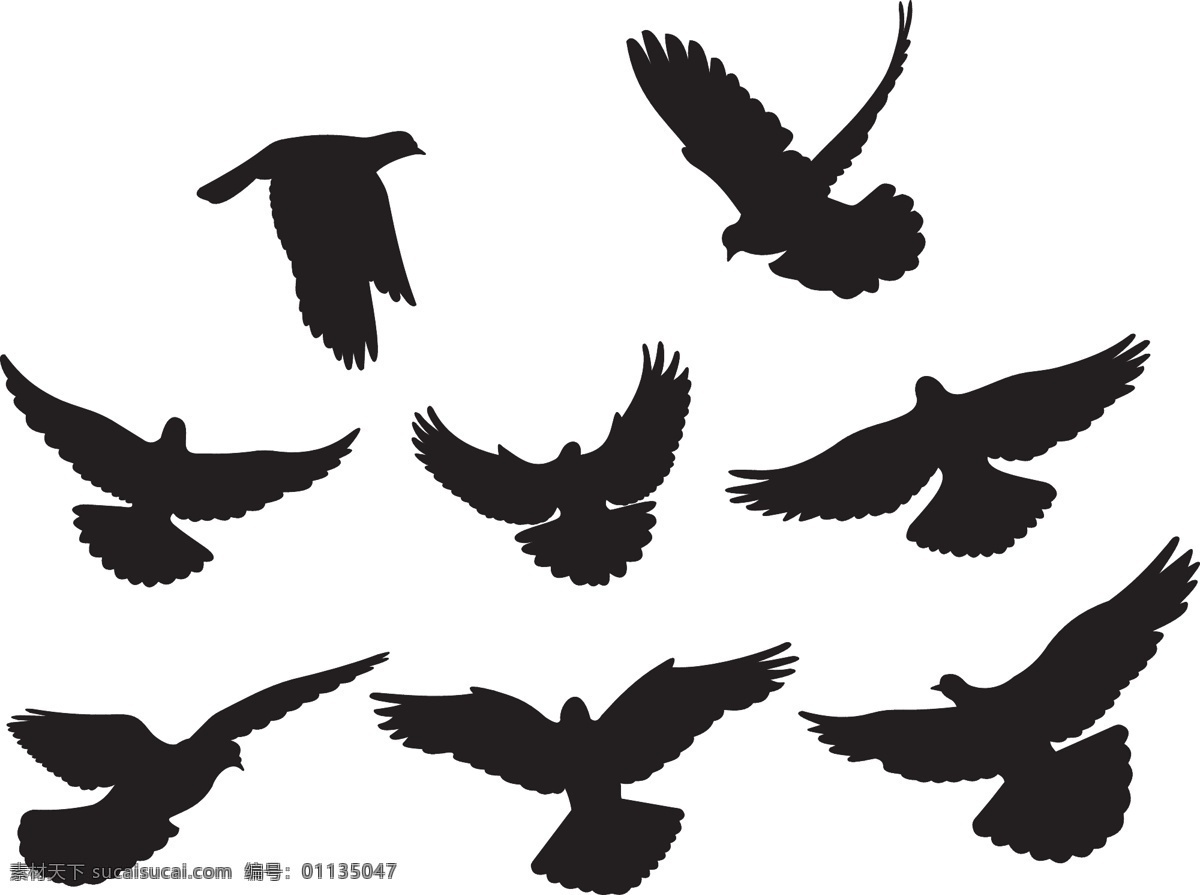 黑色 白色 鸽子 剪影 矢量 飞行 v 矢量图 其他矢量图