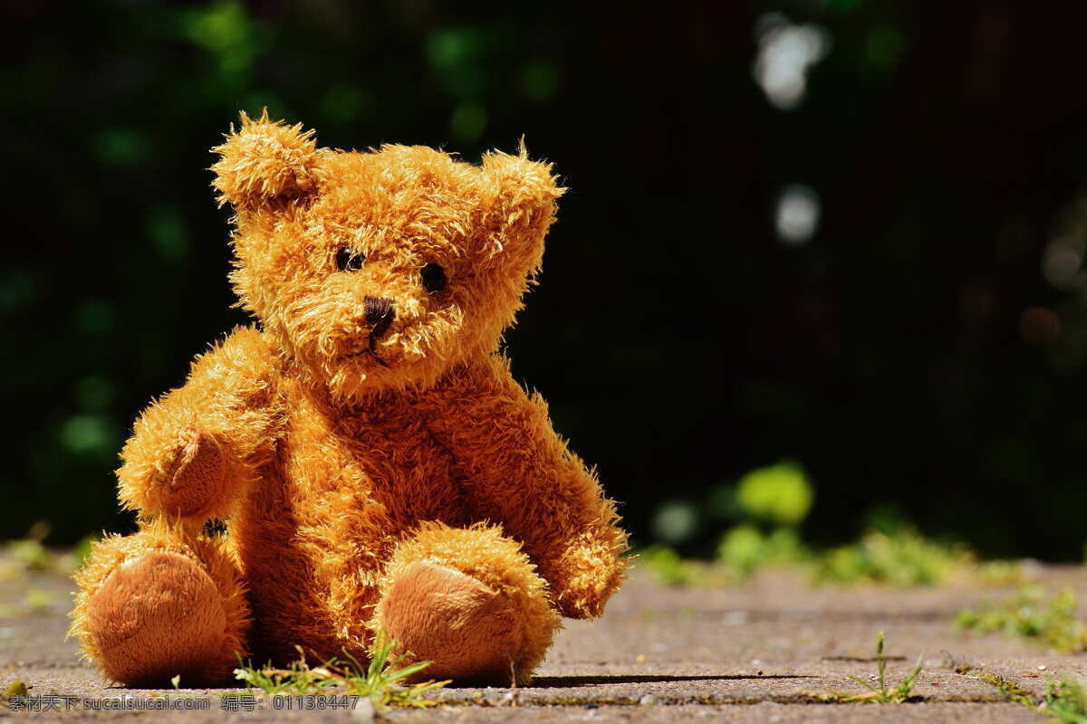 玩具熊 毛毛熊玩具 玩具 布偶 毛绒玩具 生活百科 生活素材