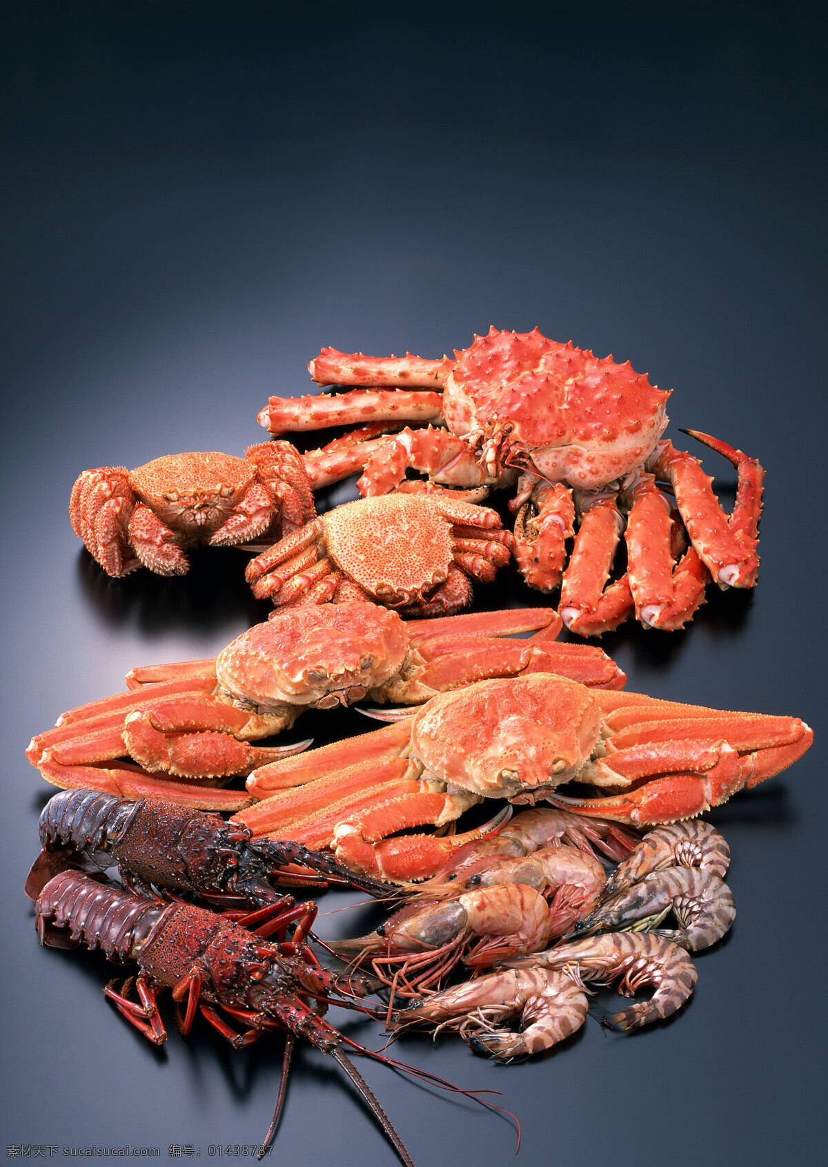海鲜大全 虾 蟹 贝壳 螺 龙虾 新鲜食物原料 海鲜 美味 餐饮美食 食物原料 摄影图库 海洋生物 生物世界