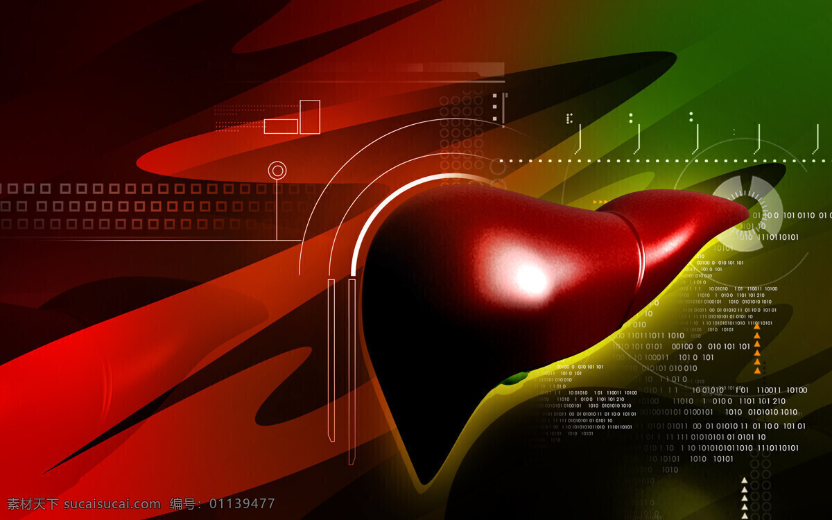 红色 肝脏 医学 医疗 医疗背景 医疗护理 现代科技