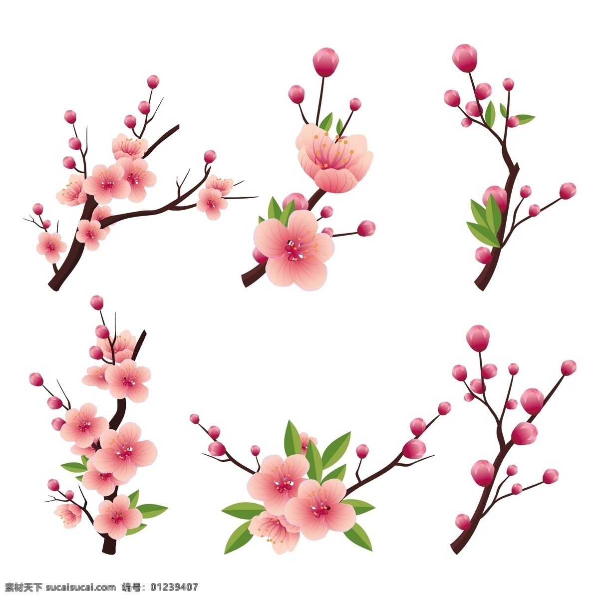 粉色花朵 粉色樱花 粉色桃花 树枝 花芯花蕊 花瓣素材 花朵素材 玫瑰 盛开 腊梅 小樱花 手绘 粉色花 花 粉色 樱花节 樱花 樱花海报 樱花树 樱树 花卉邀请函 邀请函 鲜花 花纹 花卉 花环 花朵 情人节日 卡片 情人节 婚庆请帖 婚礼请柬 梅花 红梅报喜 梅开五福 红梅 梅花盛开 矢量插画 生物世界 花草
