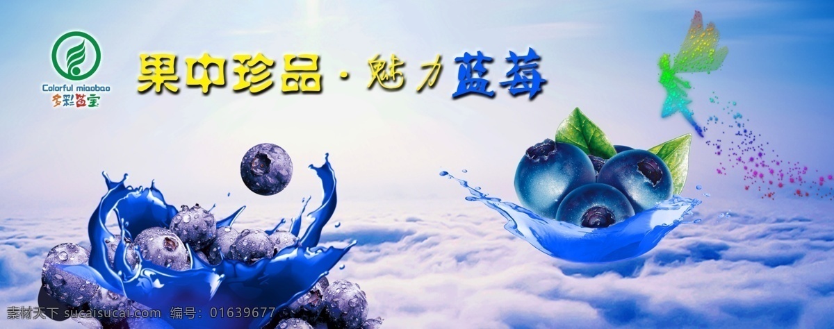 蓝莓云海 蓝莓果实 蓝莓海报 魅力蓝莓 多彩苗宝