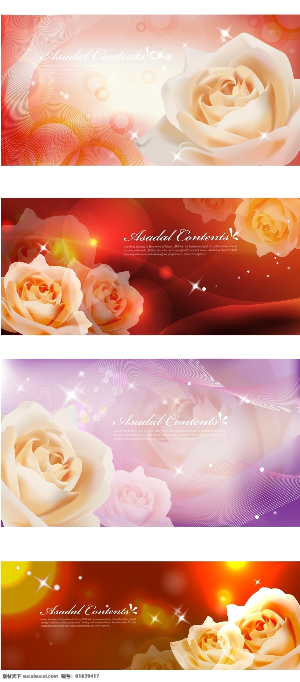 白色 玫瑰花 白色玫瑰花 矢量图 矢量 花纹 花边 底纹 边框 花纹花边