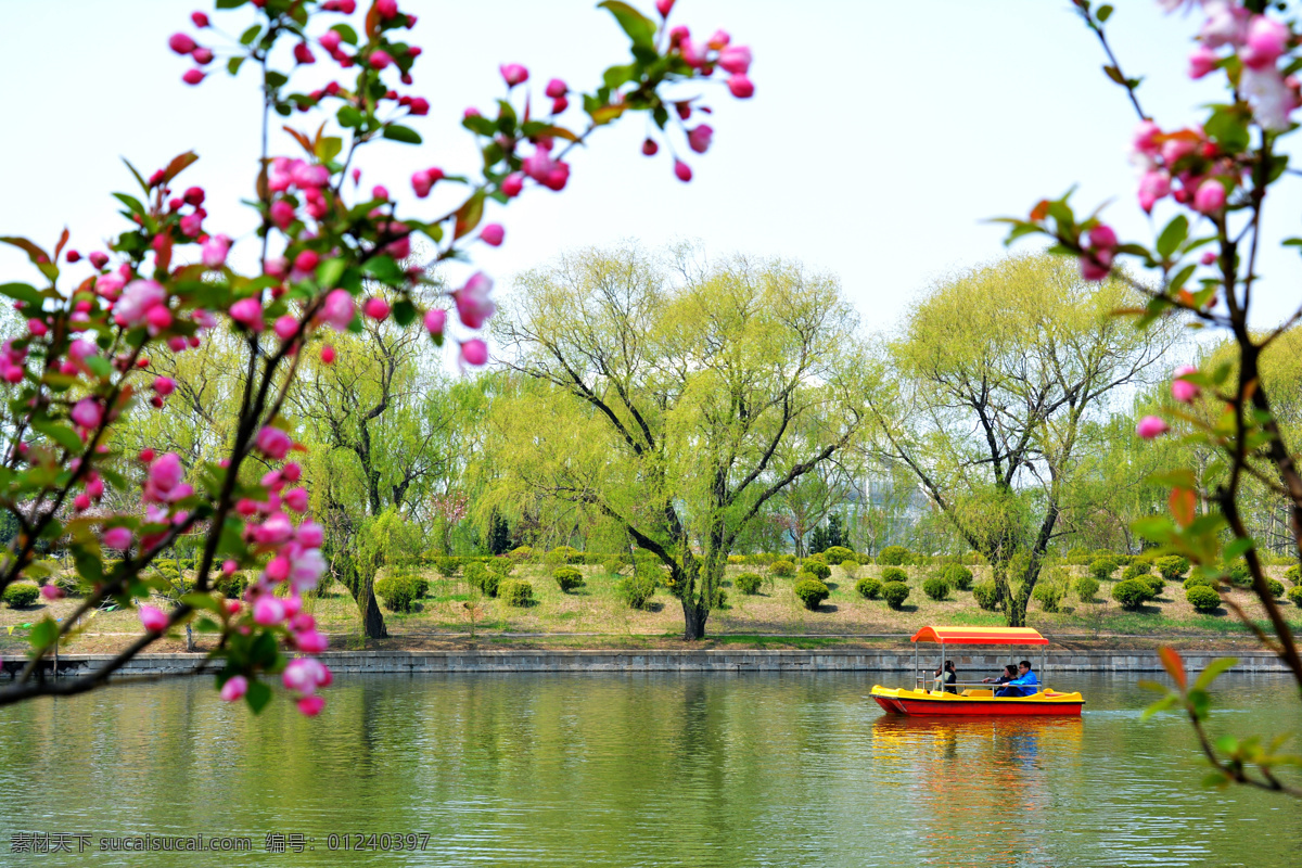 桃花美景图 流水 桃花 游艇 远景 美图 自然景观 山水风景
