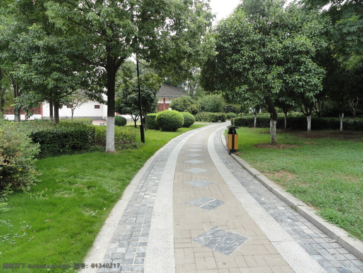绿茵小路 蜿蜒小路 户外美景 清新小路 蜿蜒小道 园林小路 小路 公园一角 一处 照片 自然景观 自然风景
