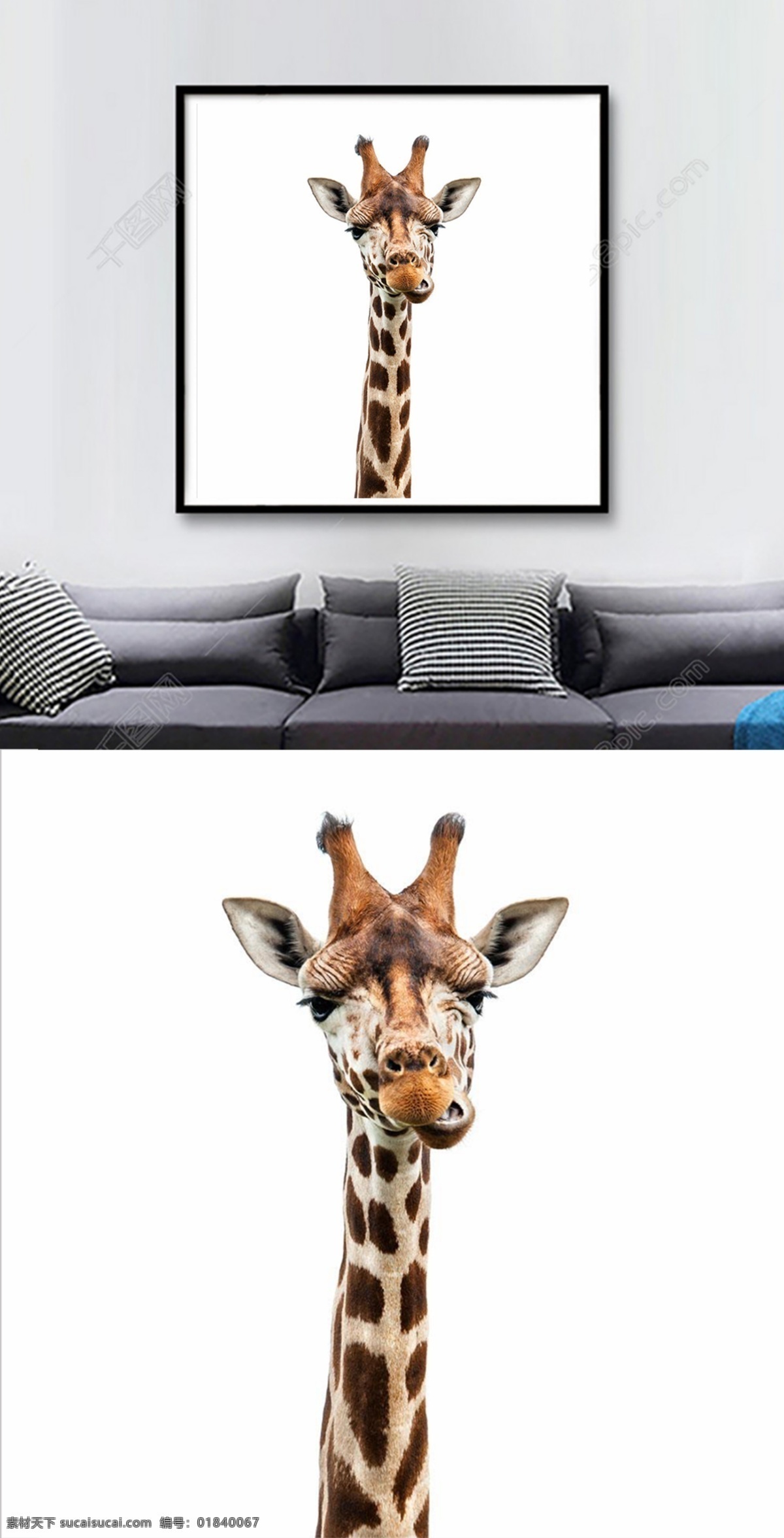 方形 长颈鹿 搞笑 高清 装饰画 斑点 耳朵 简约 客厅 鹿角