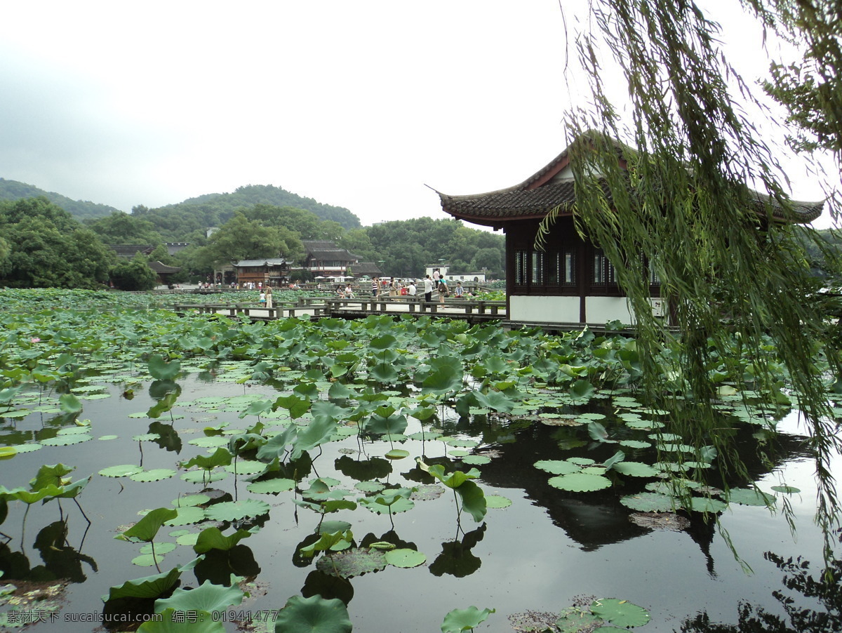 荷塘 池塘 荷叶 绿叶 凉亭 柳树 湖水 湖畔 山峦 柳条 建筑 水面 山恋 山水美景图片 山水风景 自然景观