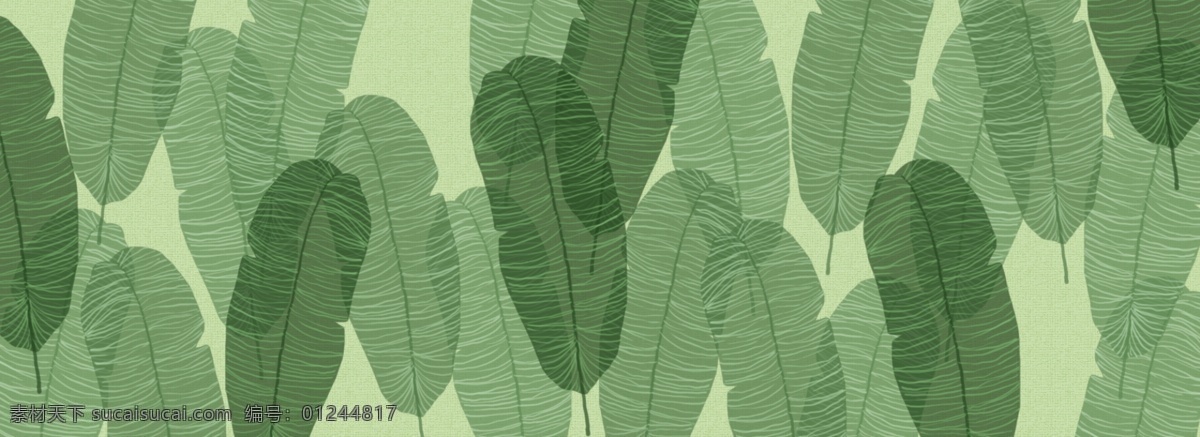手绘 植物 叶子 banner 背景 绿 抹茶色 透明