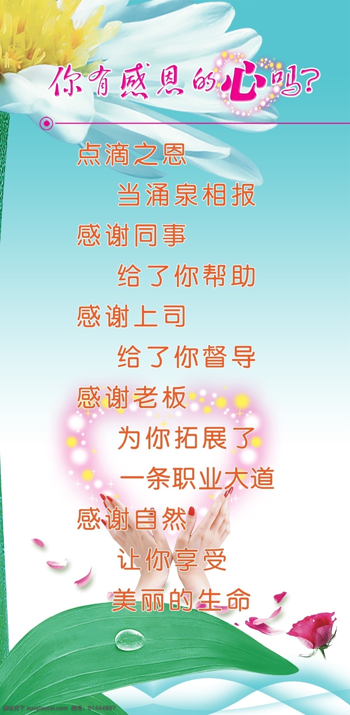 有感 恩 心 感恩的心 玫瑰花 企业文化 清淡背景 手 心形 展板 海报 激劢编 psd源文件
