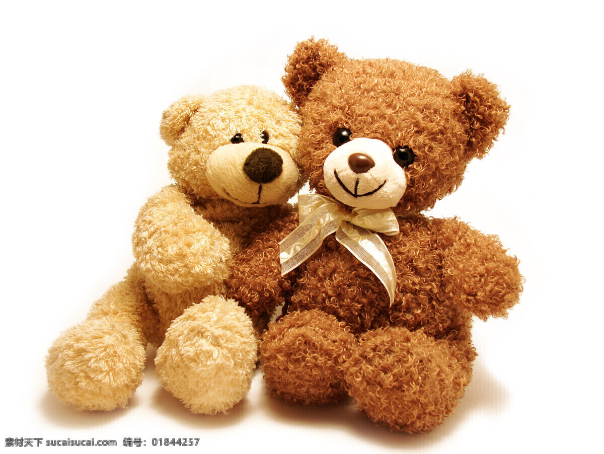 小熊 情人节礼物 儿童礼物 泰迪熊 娃娃 高清图片 生活百科 生活素材
