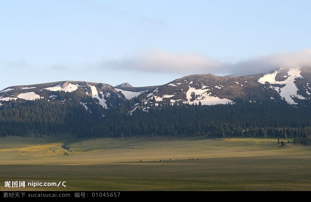 塞里木湖畔 新疆 草原 雪山 马儿 牧场 风光 自然景观 山水风景 摄影图库
