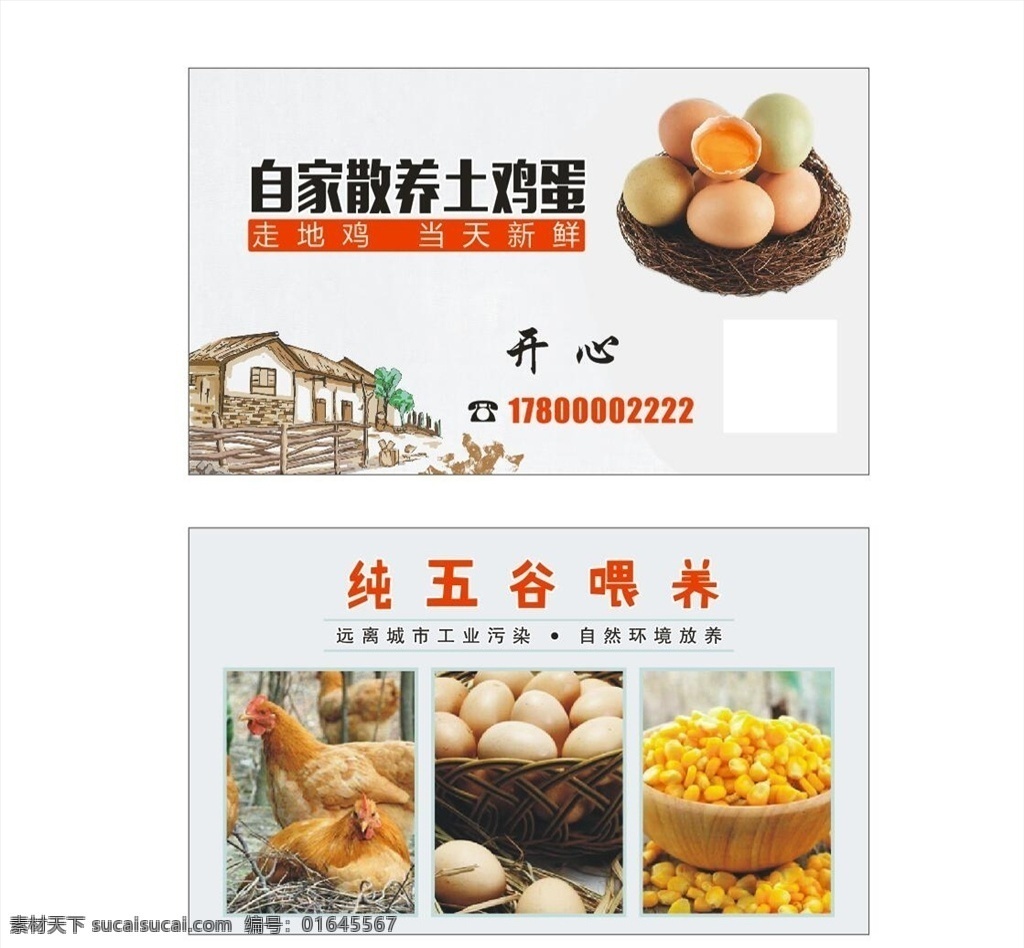 土鸡蛋名片 土鸡蛋 家鸡 名片 宣传单 蛋壳 五谷杂粮 玉米 手绘 房屋 摇篮 美味佳肴 名片卡片
