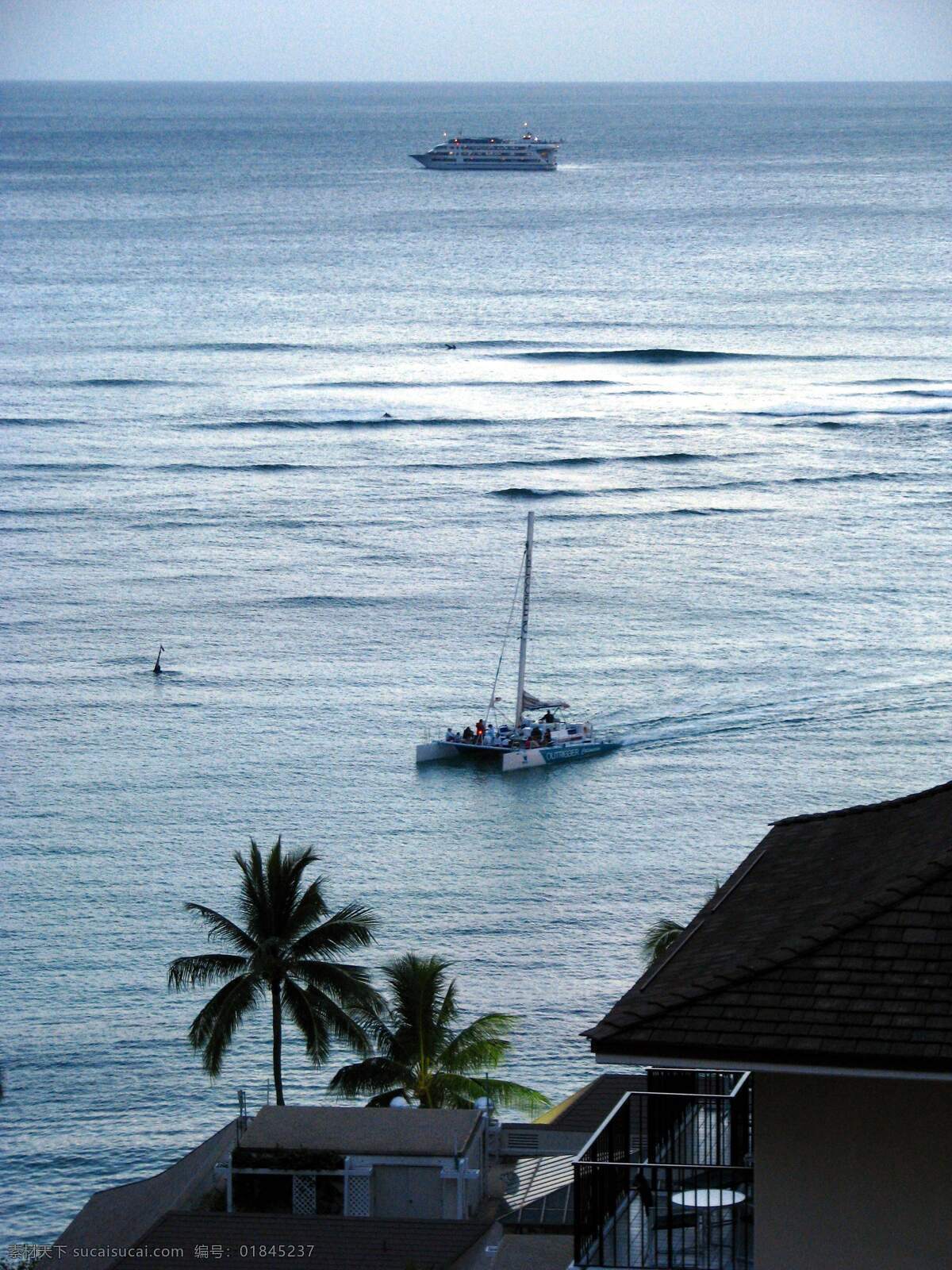 大海 国外旅游 蓝色 旅馆 旅游摄影 夏威夷 游人 游艇 夏威夷大海 皮艇 棕榈树 岸边 观景台 旅游风光 风景 生活 旅游餐饮
