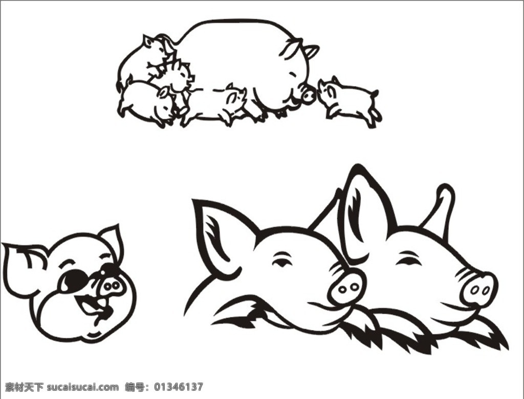 卡通猪 猪 兽用 线第猪 黑白猪 猪头 母猪 失量猪 小猪 玩耍猪 标识标志图标 矢量 其他图标 标志图标