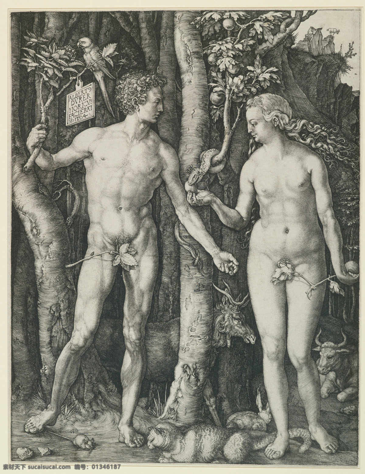 亚当与夏娃 亚当 夏娃 人类 祖先 蛇 苹果树 上帝 圣经 传说 伊甸园 绘画 艺术 铜版画 经典 绘画书法 文化艺术