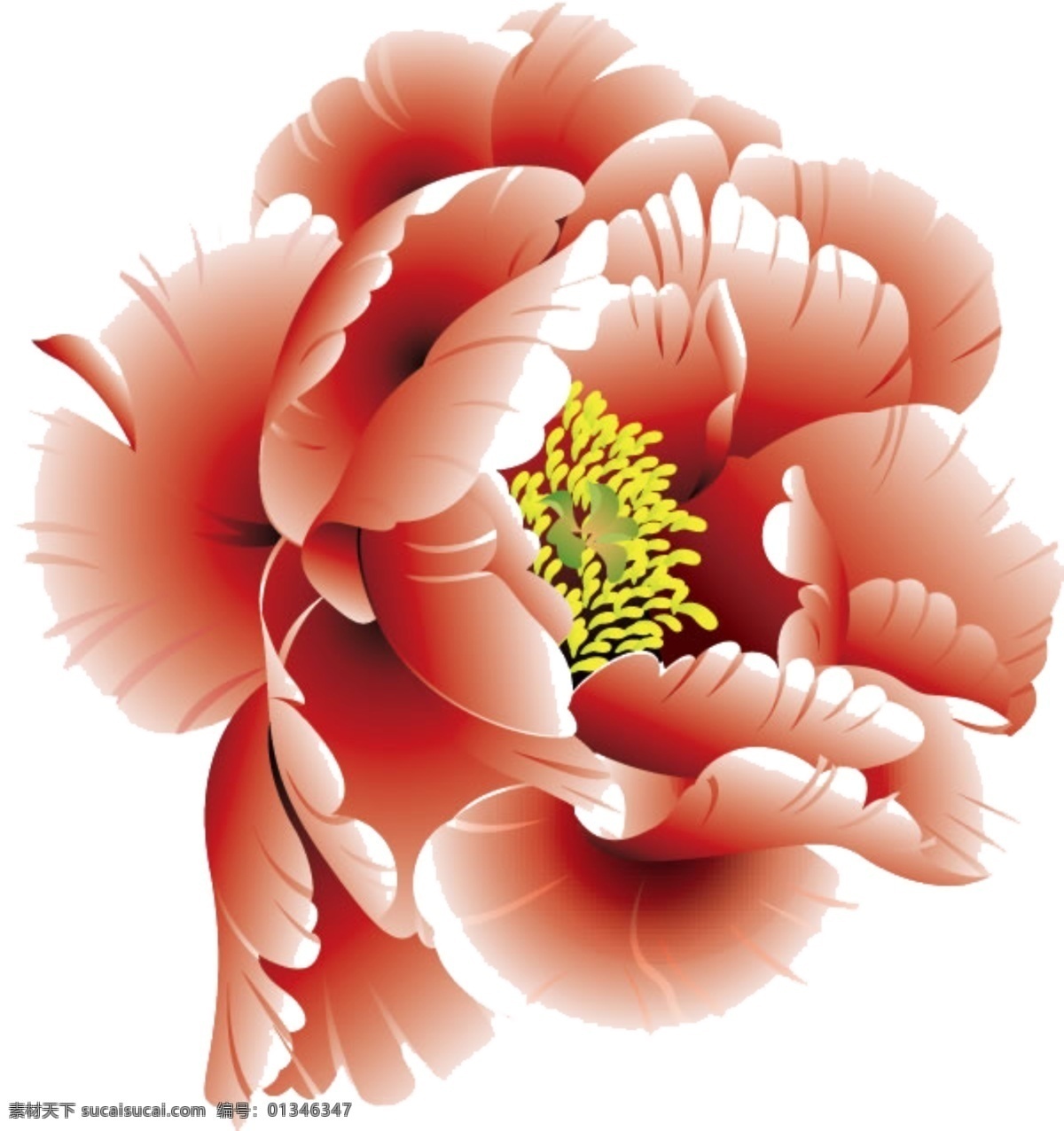 精美 大气 牡丹花 背景 底纹 花草 矢量图 艳丽 psd源文件