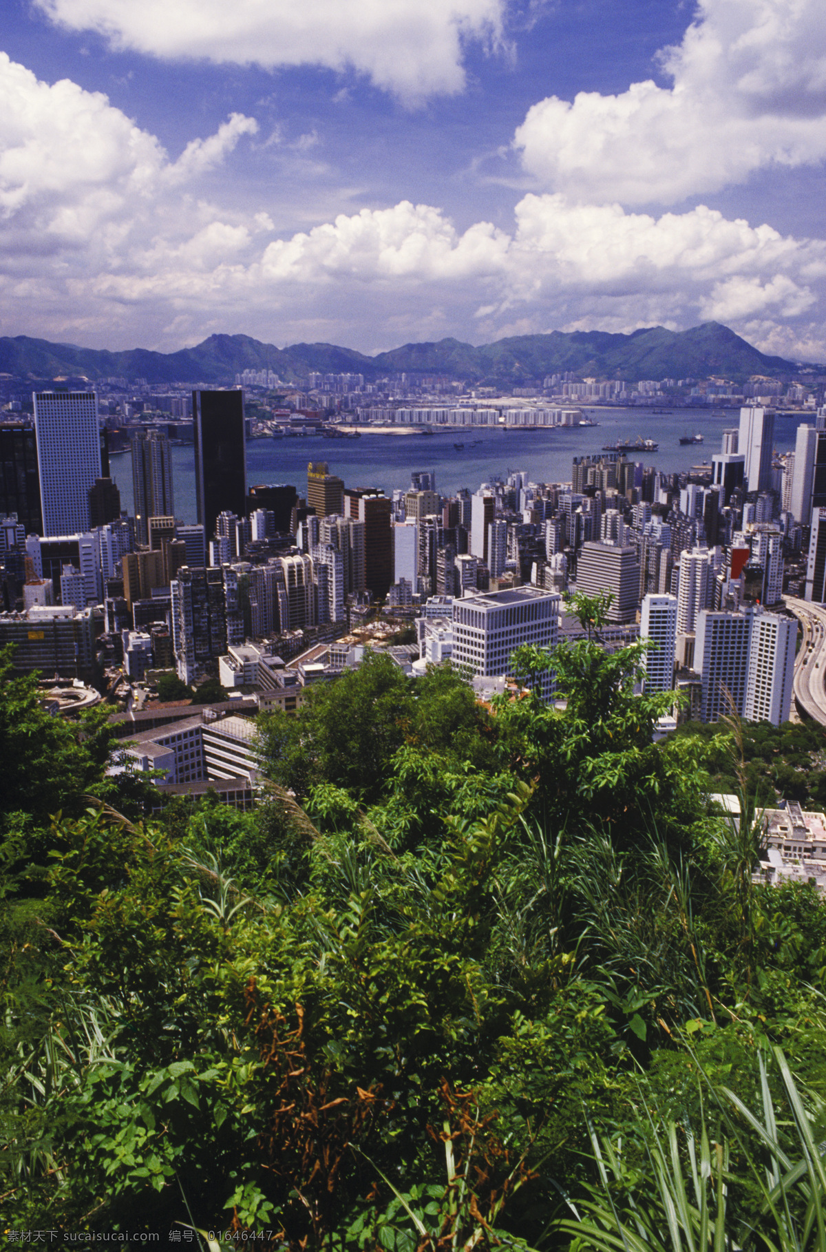 蓝天 白云 下 香港 城市 风光 城市风光 高楼大厦 建筑 风景 繁华 繁荣 蓝天白云 城市环境 摄影图 高清图片 环境家居