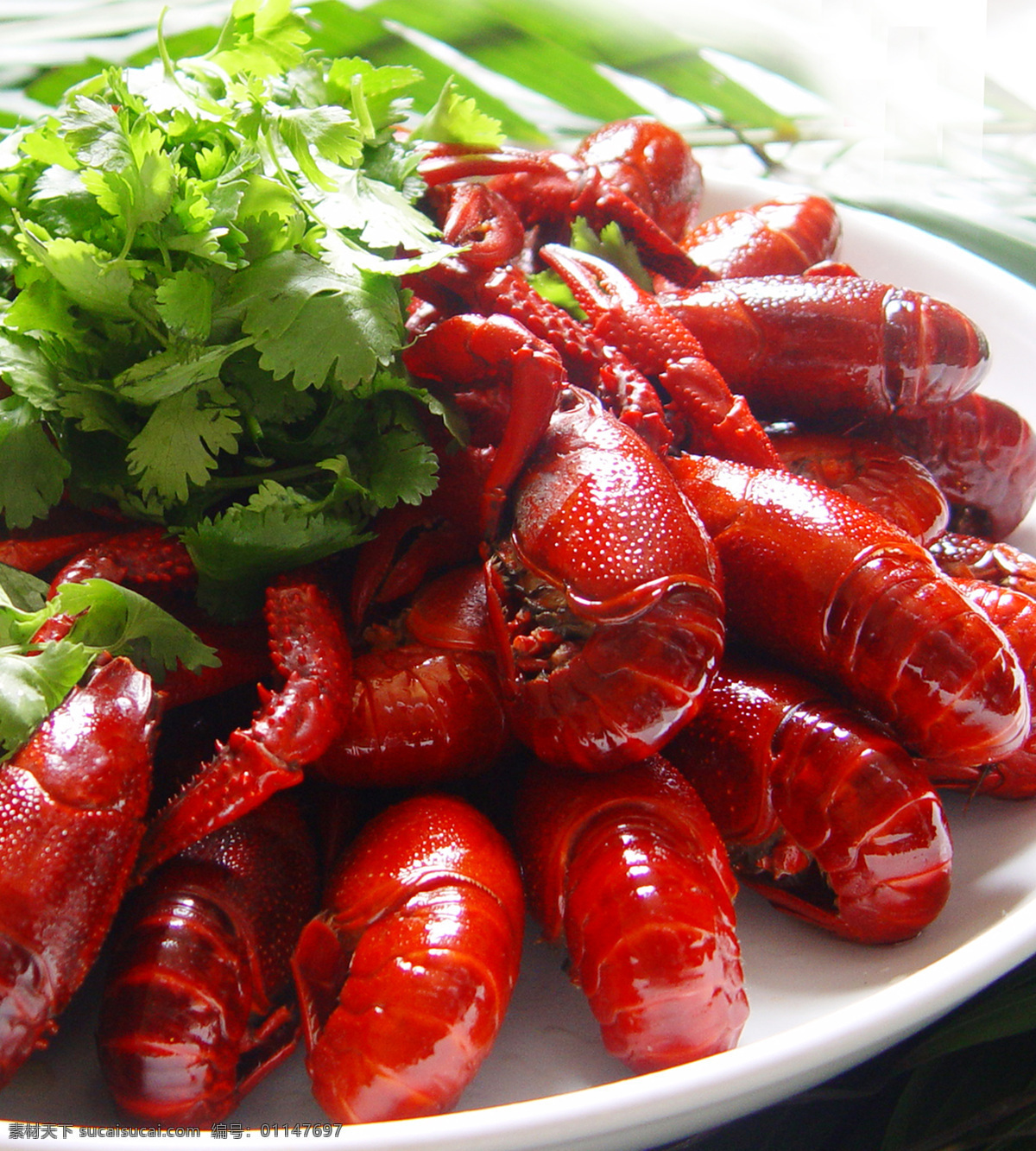 龙虾 香辣龙虾 诱人龙虾 香味龙虾 飘香龙虾 美味虾 餐饮美食 传统美食